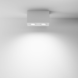 Накладной светильник Maytoni Technical C017CL-02W