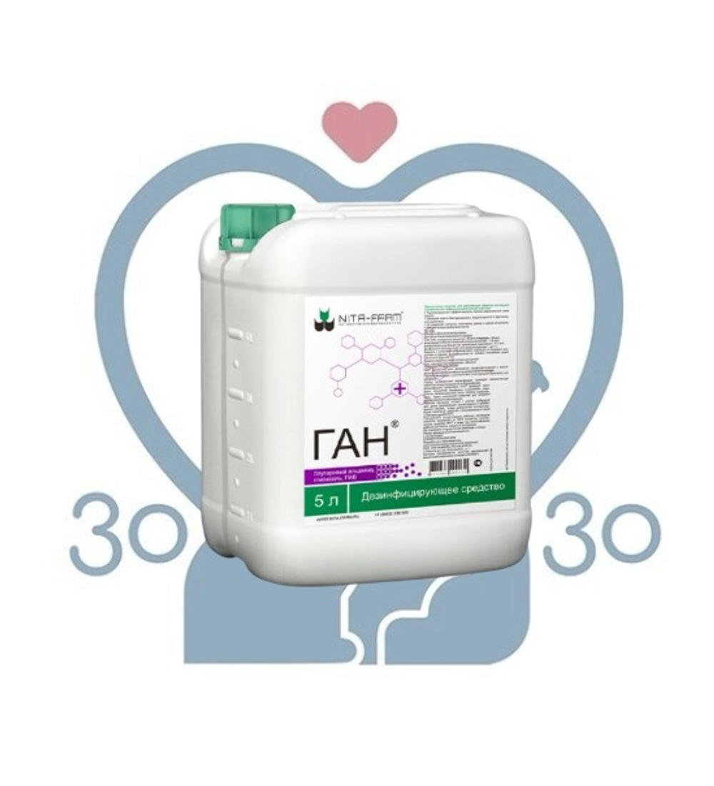 Ган, 20 л