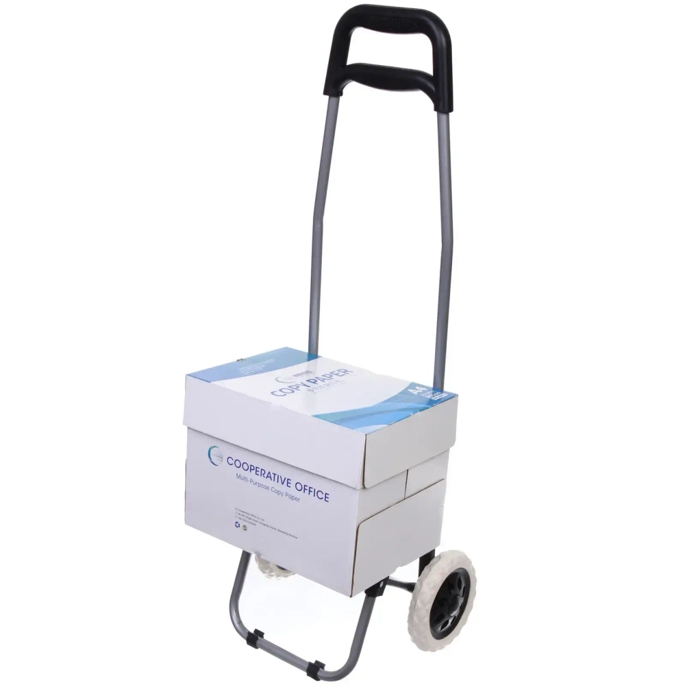 Тележка хозяйственная с сумкой (88*34*30см, колеса 16 см,грузоподъемность до 30 кг) клетчатая DC-306