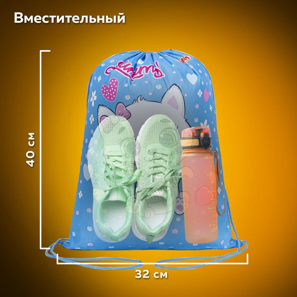 Мешок для обуви ПИФАГОР, 1 отделение, 40х32 см, "Yummy cupcake", 271603