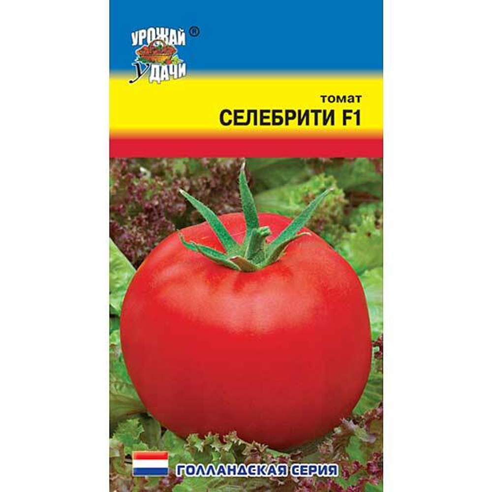 Томат Селебрити Урожай у дачи