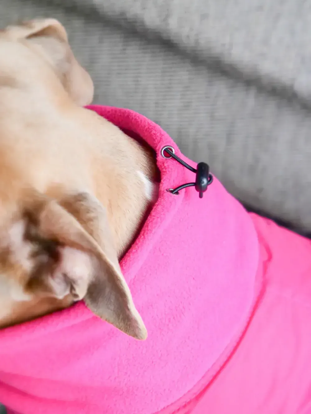 Непромокаемая попона Dog Coat BullyBillows