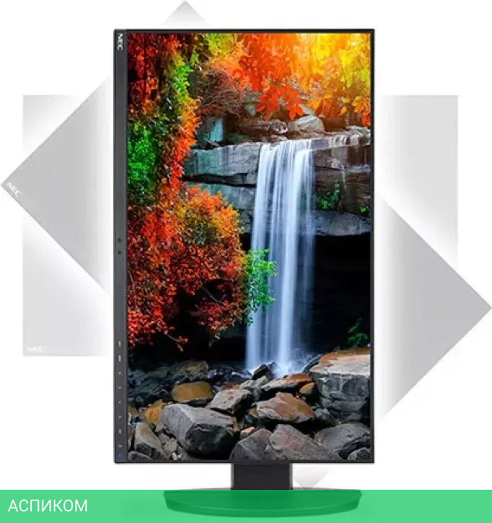 Монитор NEC MultiSync EA242F (черный)