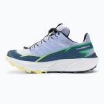 Женские Кроссовки для бега Salomon Thundercross heather/flint stone/charlock