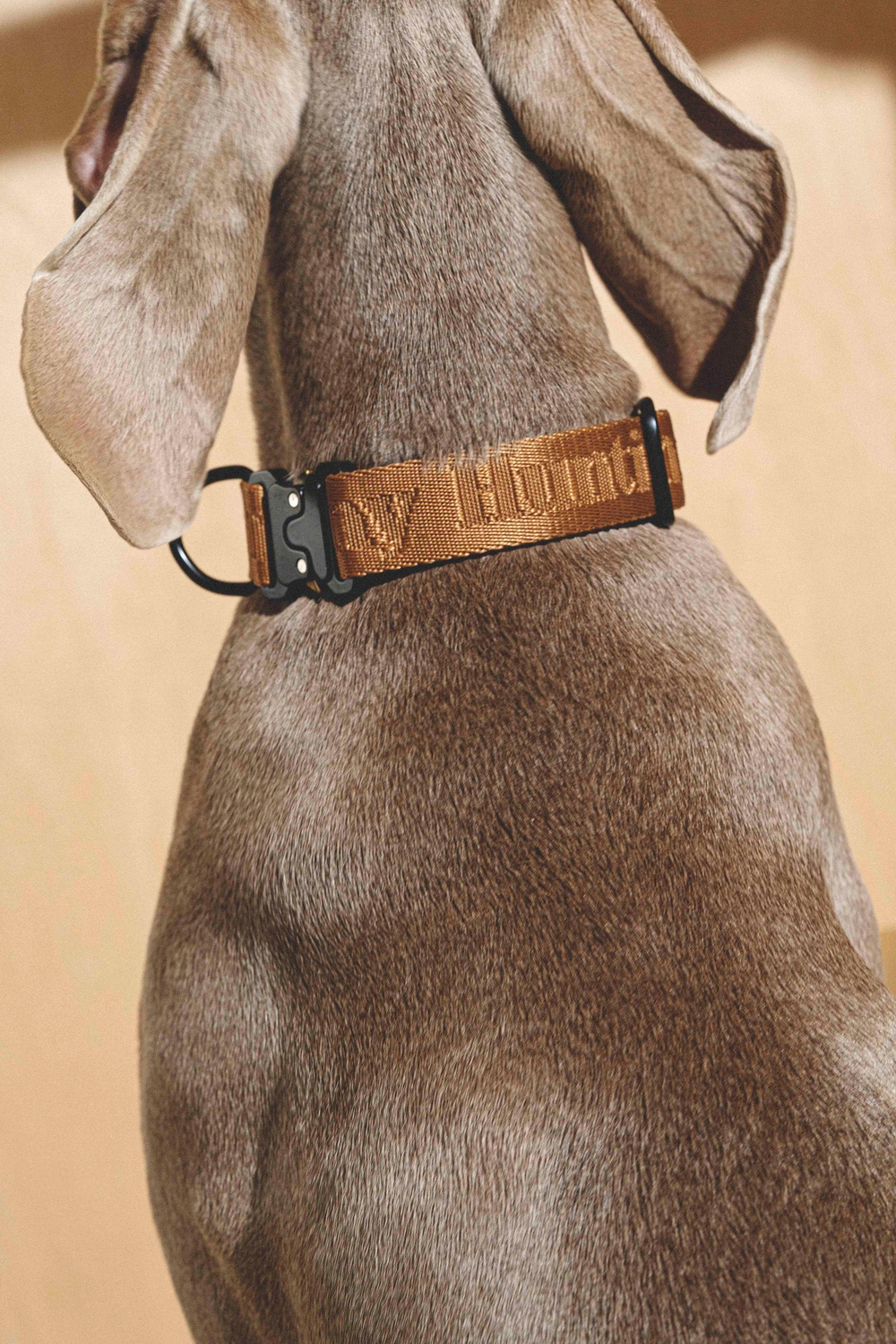 Ошейник "Пони-Компаньони" Рыжий