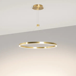 Светильник SP-CONGO-CAN-1-R600-36W Day4000 (GD, 120 deg, 230V) (Arlight, IP20 Металл, 5 лет) 046243