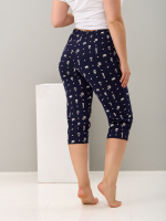 Бриджи Д-6/якорь