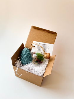 Набор «Cказочный» свеча шишка