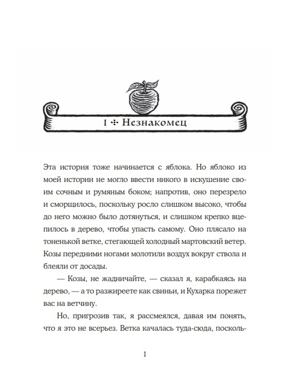 Мальчик и его книга