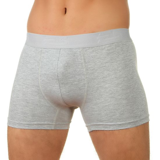 Мужские трусы боксеры серые E5 Underwear CLASSIC BOXER SHORT
