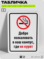 Табличка для частной территории "Добро пожаловать в кампус, где не курят", на дом, для участка, для подъезда, организаций и частных территорий, 40х30 см, Silver Plane x Айдентика Технолоджи