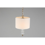Подвесной светильник Aployt Franula APL.724.06.01