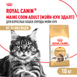Сухой корм Royal Canin Maine Coon Adult для взрослых кошек породы Мэйн Кун 10кг
