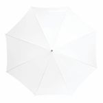 Автоматический зонт-трость LIMBO