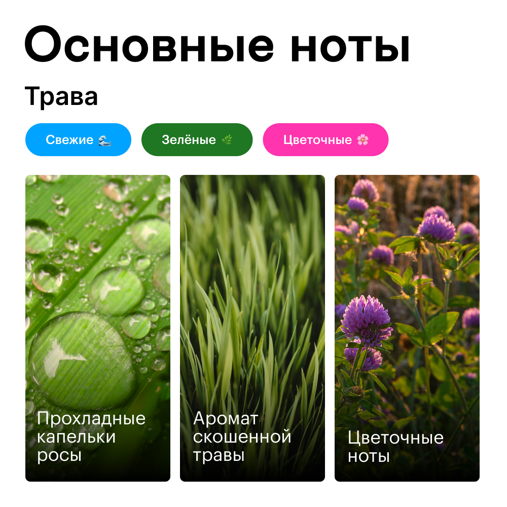 Трава