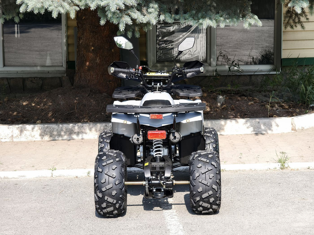 Lion 125 AA серый