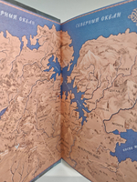 Алиедора. Цикл "Семь Зверей Райлега". Книга 2