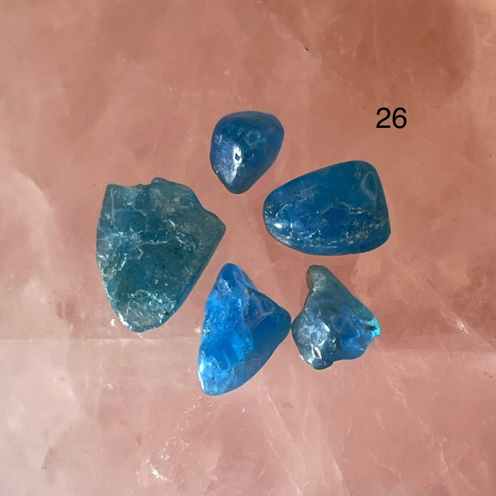 50137 Апатит галтовка 6-10мм набор--83