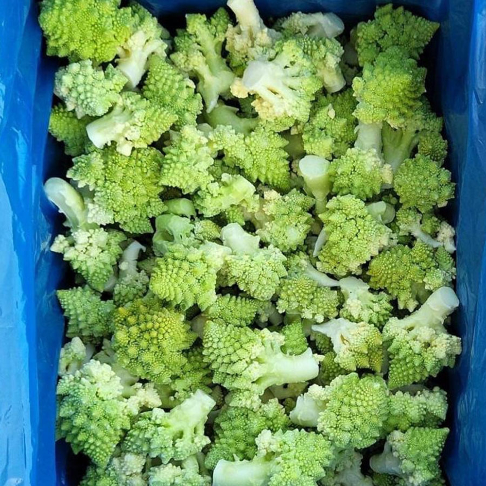 Вероника F1 семена капусты цветной (Bejo / Бейо)