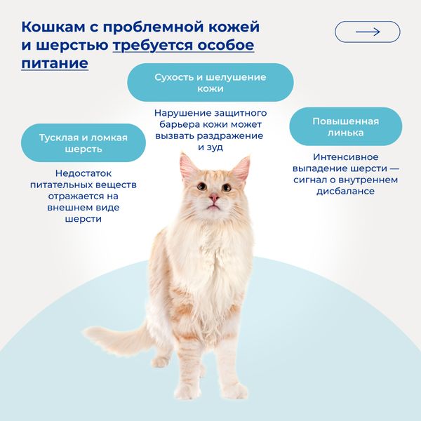 Уценка! Срок 25.08.26/ Сухой монопротеиновый корм Jarvi для взрослых кошек для здоровой кожи и красивой шерсти, говядина