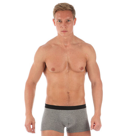 Мужские трусы боксеры серые Romeo Rossi RR6012-4