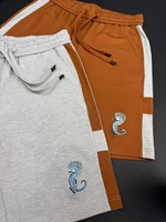 Шорты Hermes