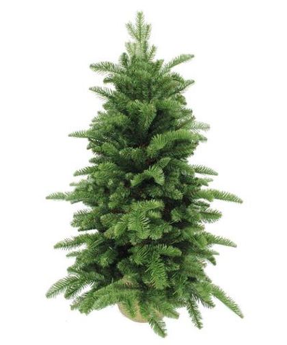 Ель Нормандия 60см в мешочке темно-зеленая Triumph Tree