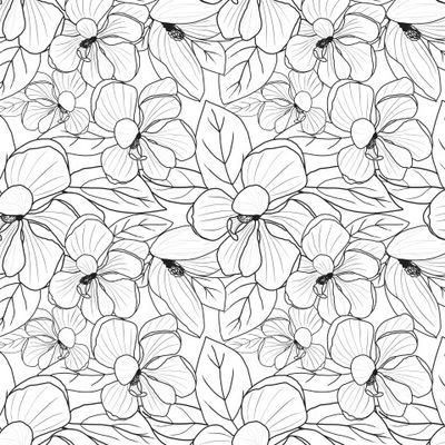 Магнолия белая