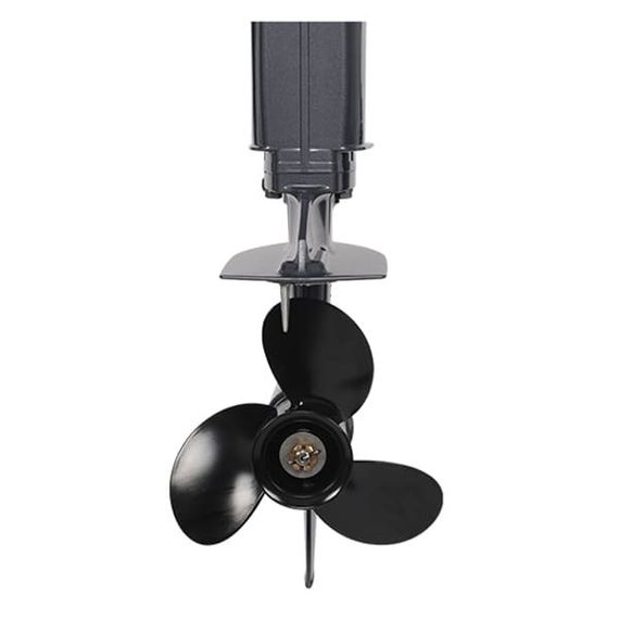 2х-тактный лодочный мотор ALLFA CG T30 S