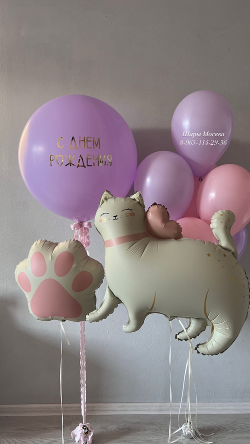 Кошка с воздушными шарами