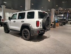 Чехол запаски нержавейка черный мат RALEX Tank 300