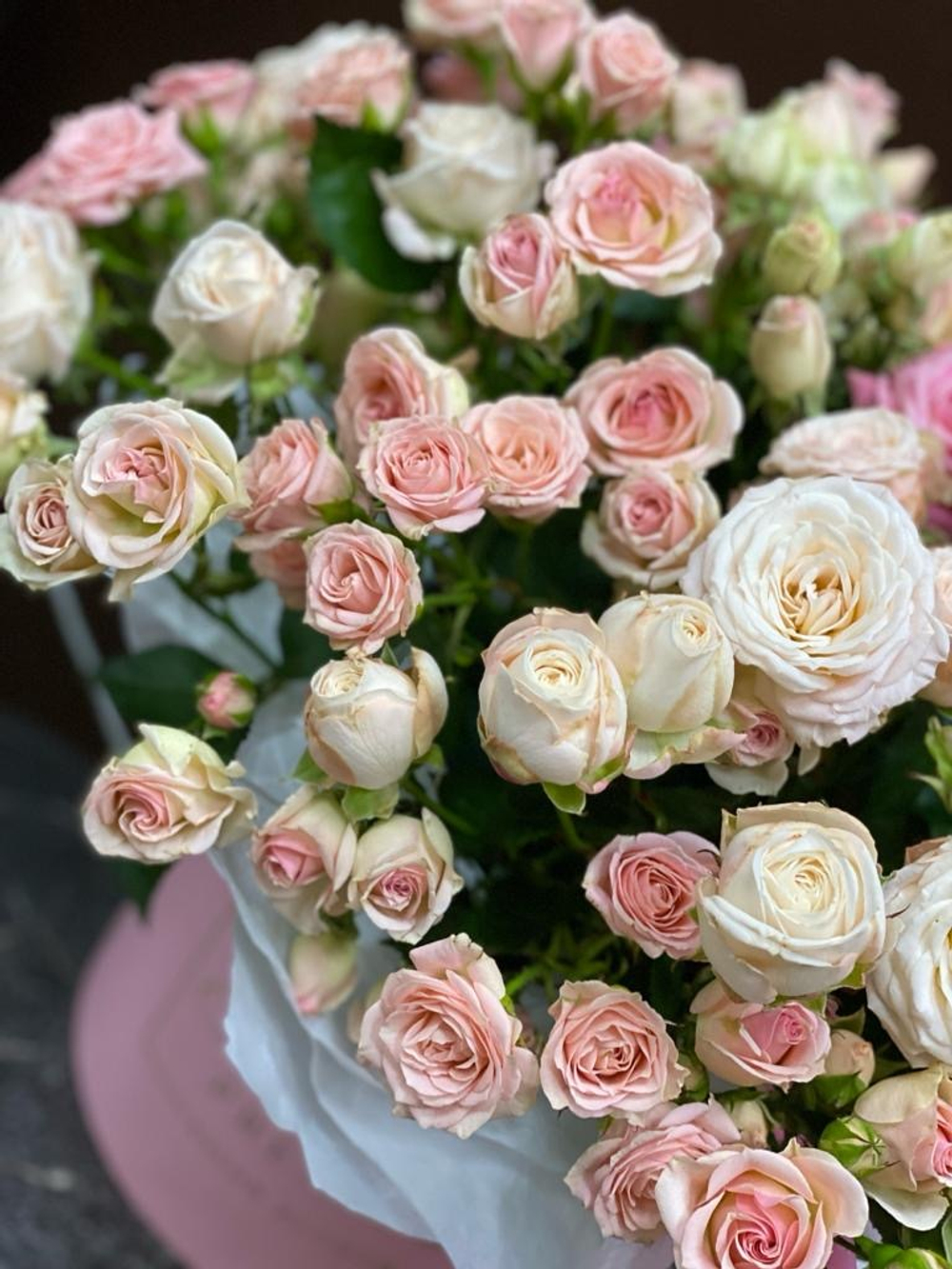 Приятная встреча ШК-345