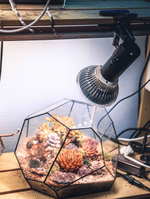 Патрон-прищепка EcoLight E27 с выключателем