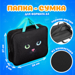 Папка на молнии с ручками А4 мешок для обуви 42х33 см пенал 20х10 см "Black cat" набор BRAUBERG