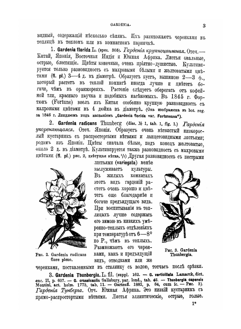 Содержание и воспитание растений в комнатах. Часть 2. Описание и культура растений, годных для комнат и домашних оранжерей | Р.Э. Регель