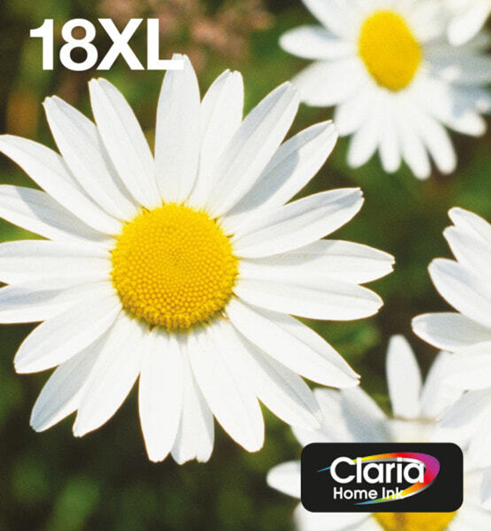 Картридж струйный Multi pack 1 шт Epson 18XL C13T18164511