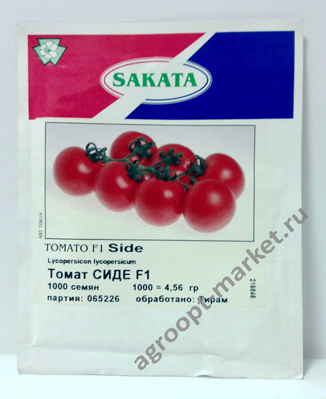 Сиде F1 семена томата индетерминантного (Sakata / Саката) – фото 2
