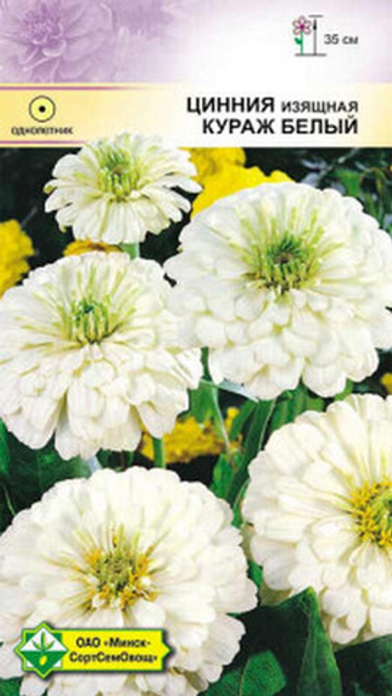 Цинния изящная "Кураж белый" 0.3г., Германия.
