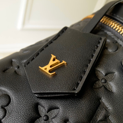 Louis Vuitton Nice Mini