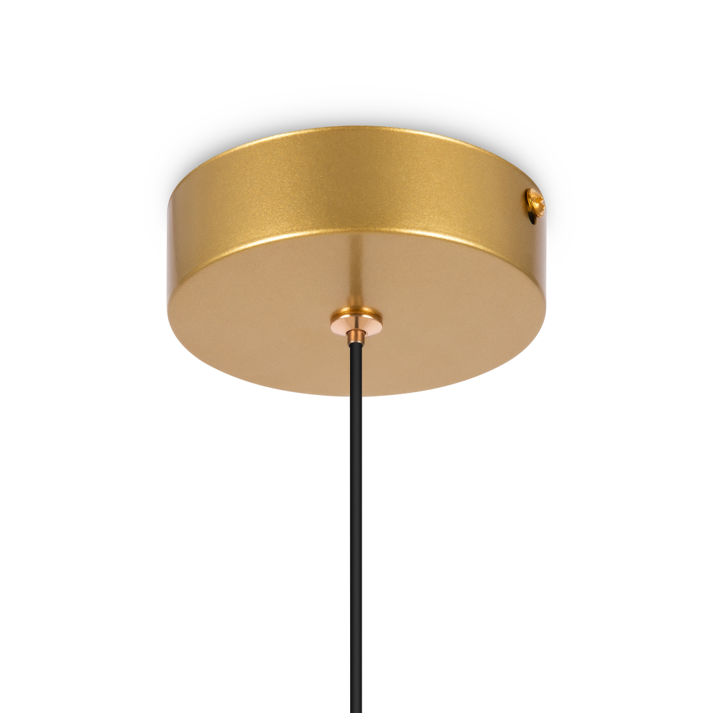 Подвесной светильник Freya FR6081PL-L10G