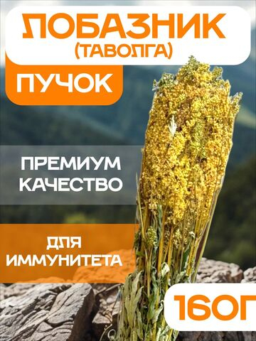 Лабазник трава сушеная, пучок.