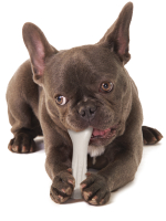 Petstages игрушка для собак Deerhorn, с оленьими рогами 12 см маленькая