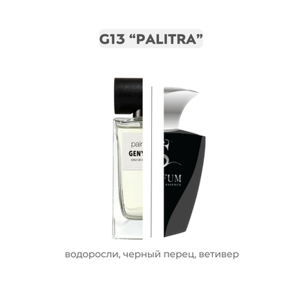 G13 PALITRA по мотивам Painter Genyum, парфюмерная вода