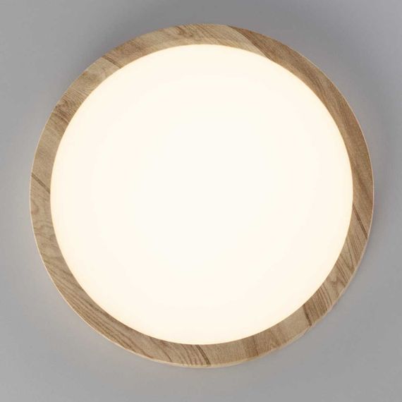 Светильник накладной Citilux Бейсик CL738182V