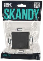 SKANDY Выключатель 2-клавишный 10А SK-V04T титан IEK