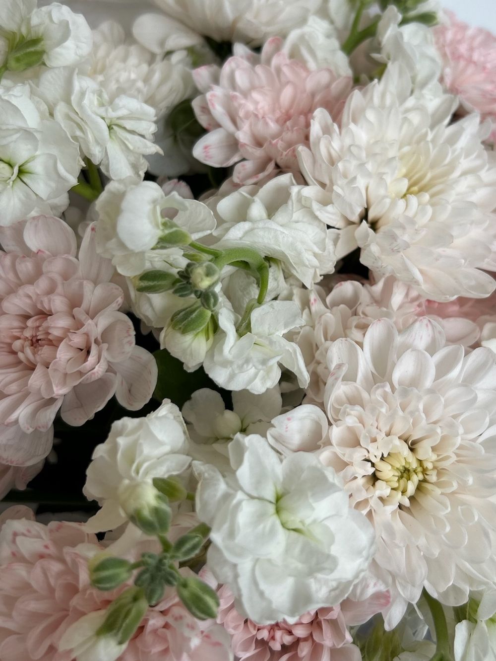 Авторский букет из хризантемы и маттиолы