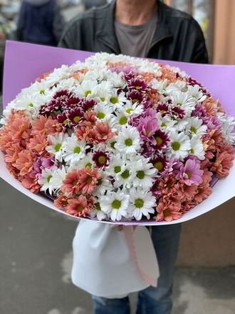 Новинки