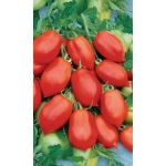 Семена Томат Непасынкующийся Консервный (УД) Е/П