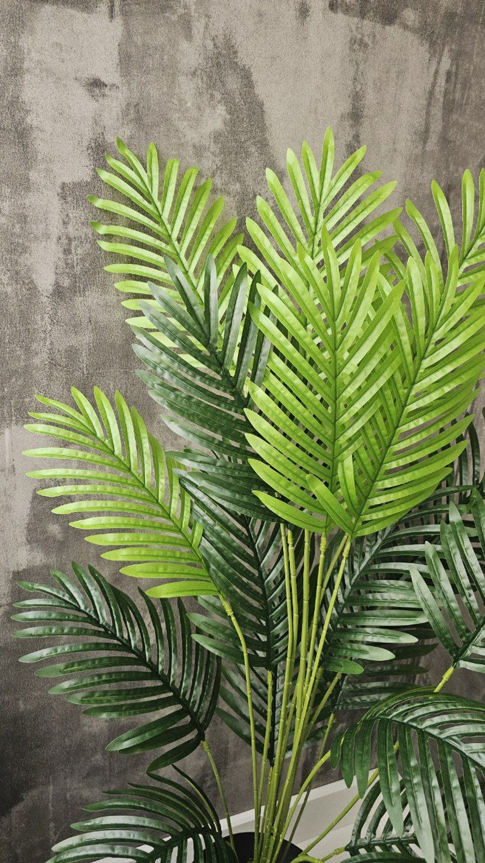 Пальма без кашпо / Арт 3069