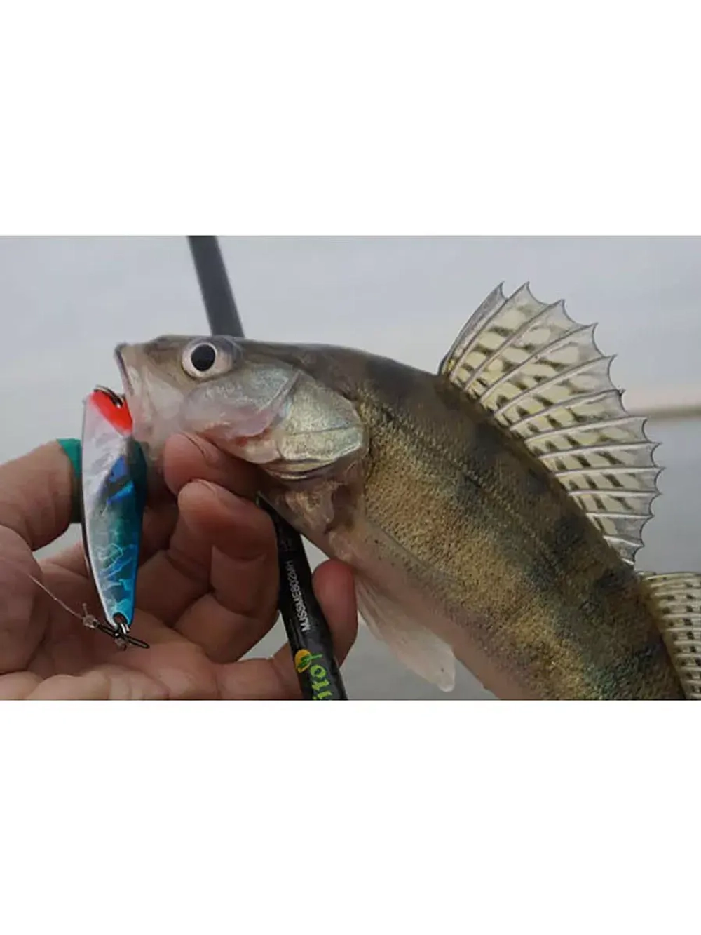 Блесна для рыбалки LureMax Hoyt